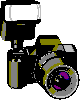 Caroline Hirthe - photdesign - Homepage